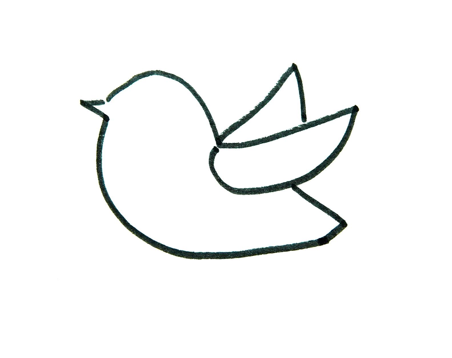 不同形态小鸟的简笔画图片99巧艺网