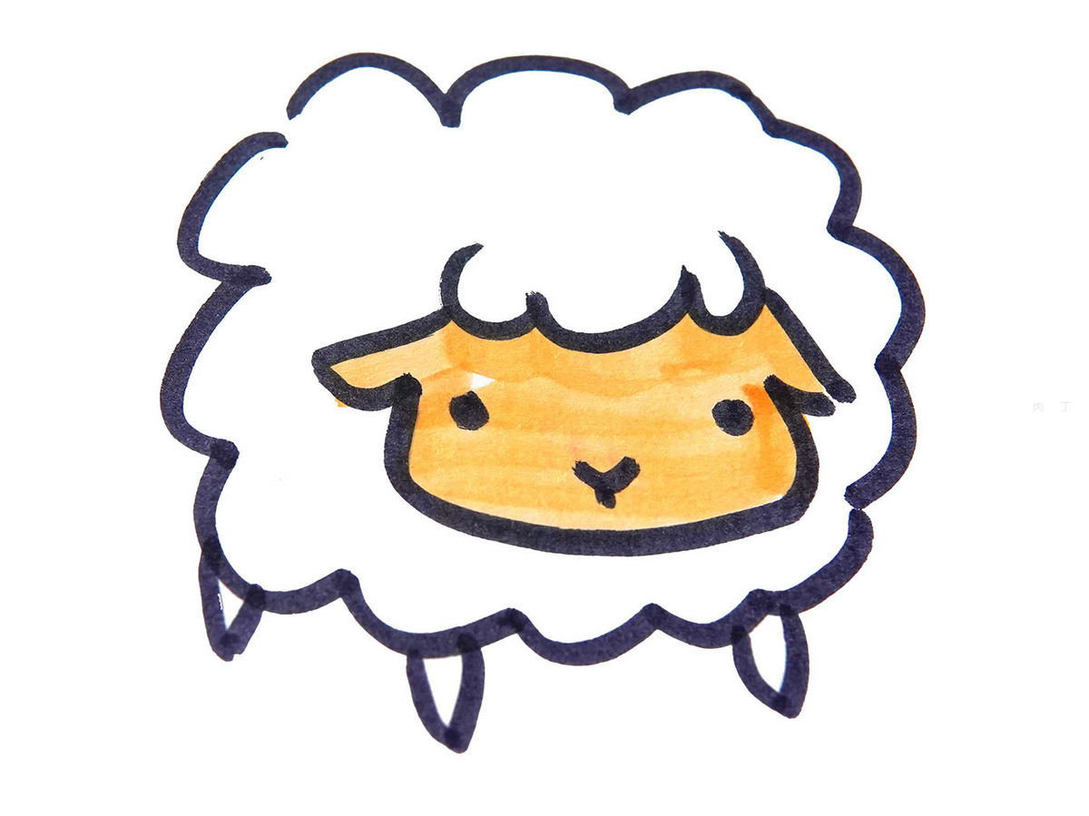 第5步:继续给这只可爱的小羊涂上颜色