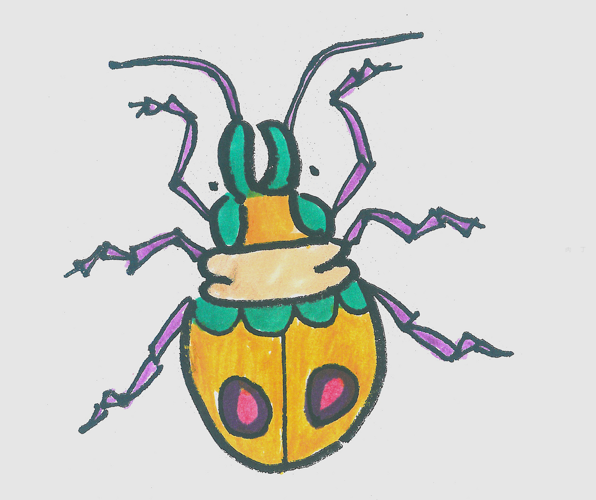 小甲虫怎么画简笔画图片